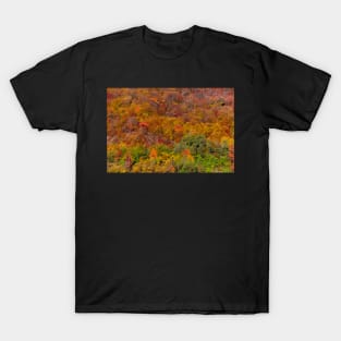 Colorful autumnal landscape T-Shirt